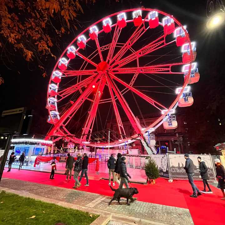 ruota.panoramica-valtellina-moruzzi-group-16